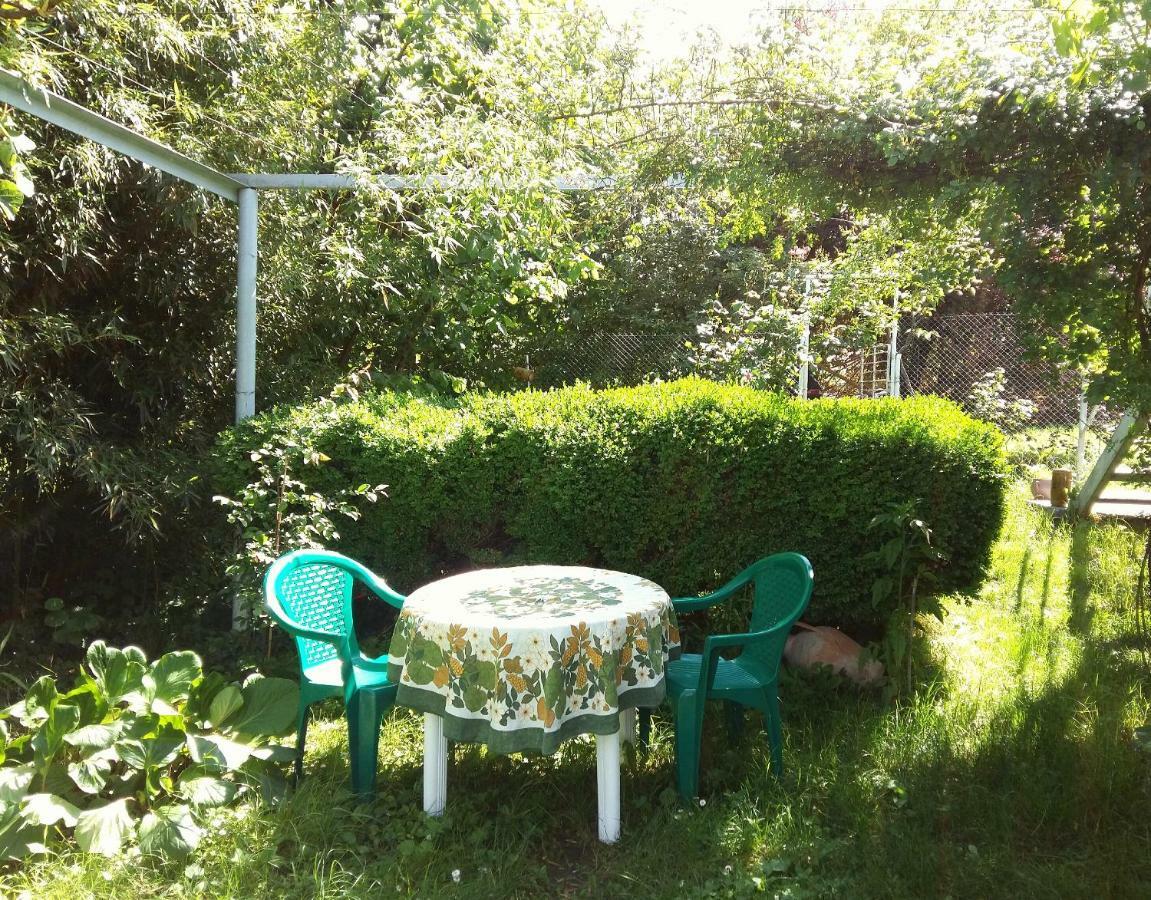 Valiko House In Telavi Ξενοδοχείο Εξωτερικό φωτογραφία